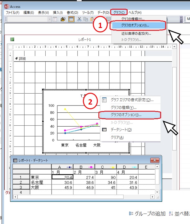 Accessグラフをレポートに作成する方法 ふうふのしあわせ講座